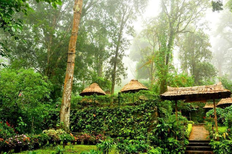 The Tall Trees Munnar Exterior foto