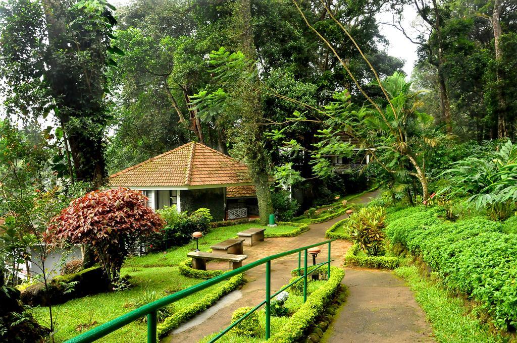 The Tall Trees Munnar Exterior foto