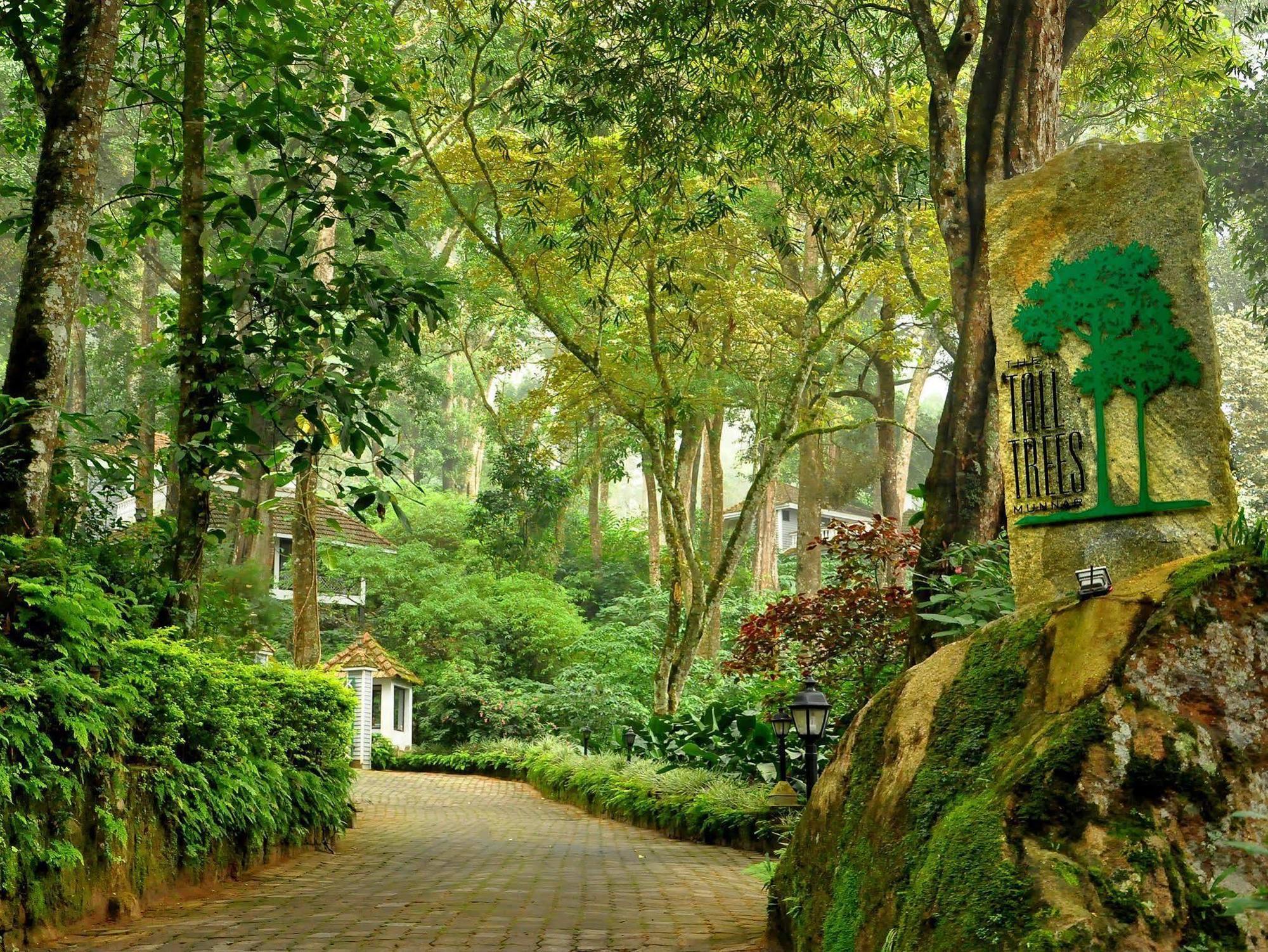 The Tall Trees Munnar Exterior foto
