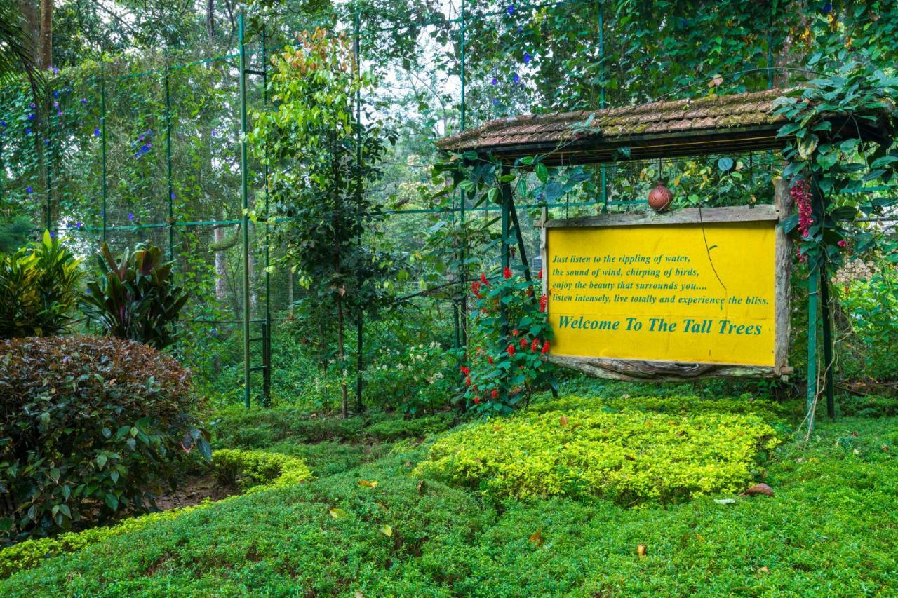 The Tall Trees Munnar Exterior foto